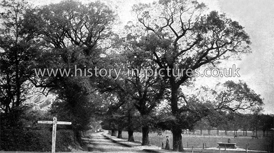 The Crossroads and village green, Theydon Bois, Essex c.1907